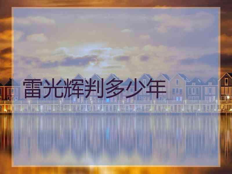 雷光辉判多少年