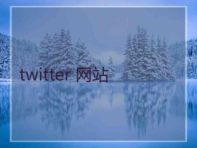 twitter 网站