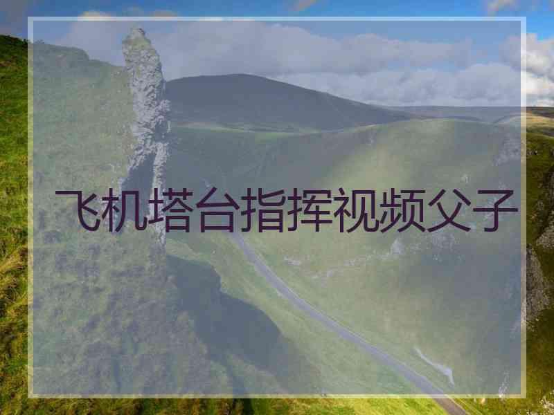 飞机塔台指挥视频父子