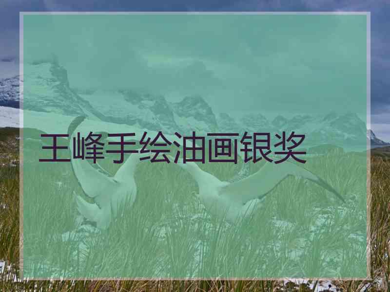 王峰手绘油画银奖