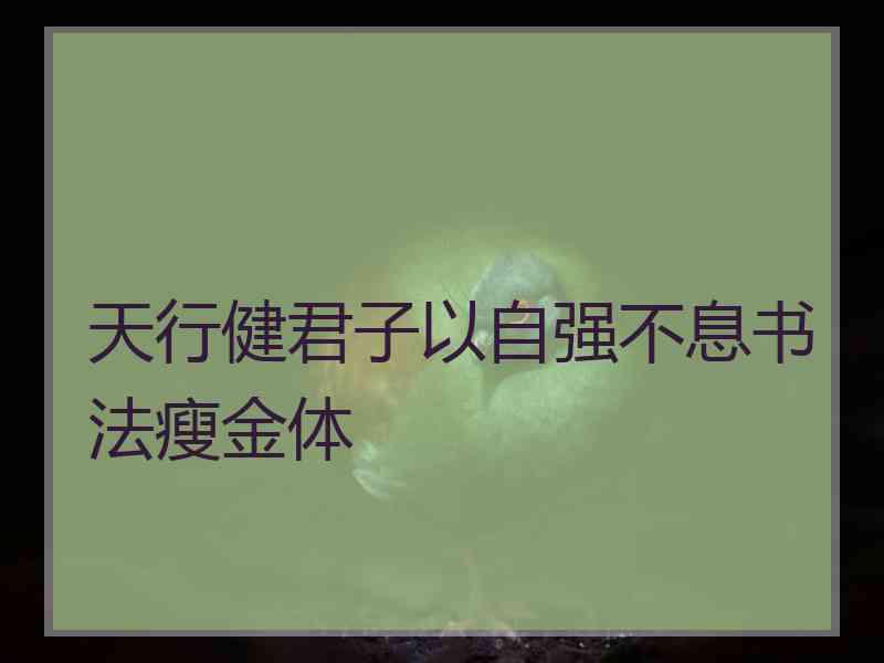 天行健君子以自强不息书法瘦金体