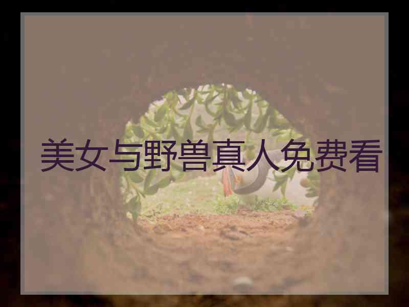 美女与野兽真人免费看