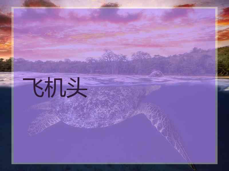 飞机头