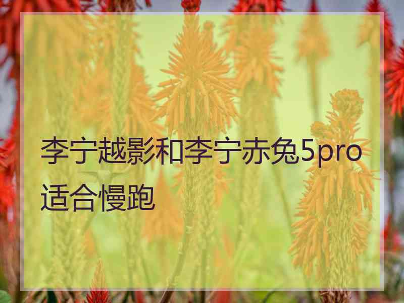 李宁越影和李宁赤兔5pro适合慢跑