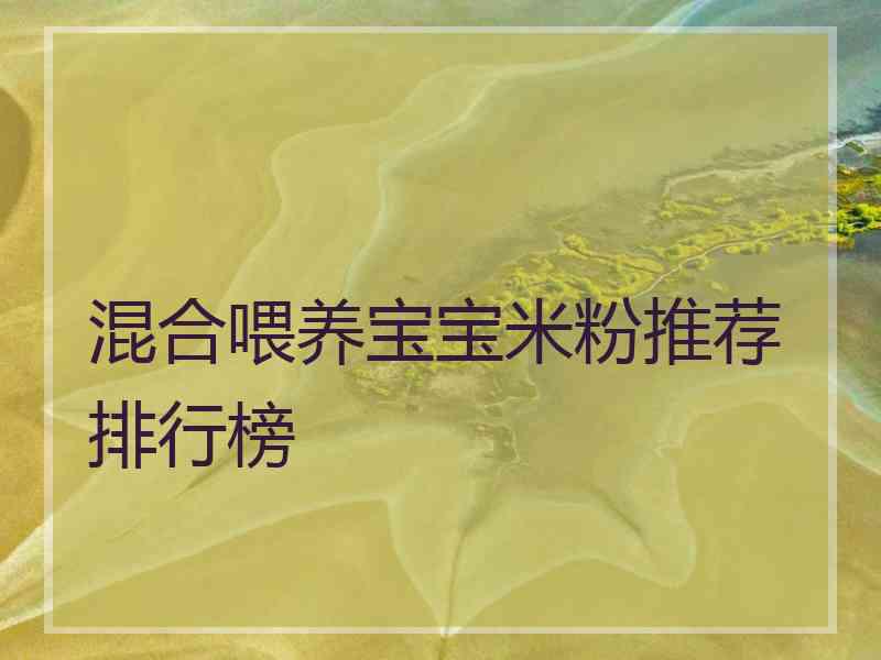 混合喂养宝宝米粉推荐排行榜