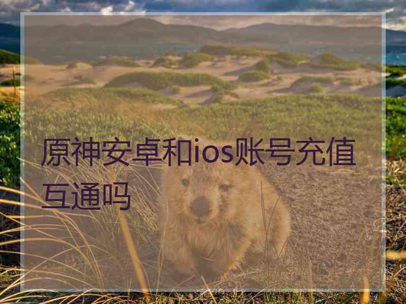 原神安卓和ios账号充值互通吗