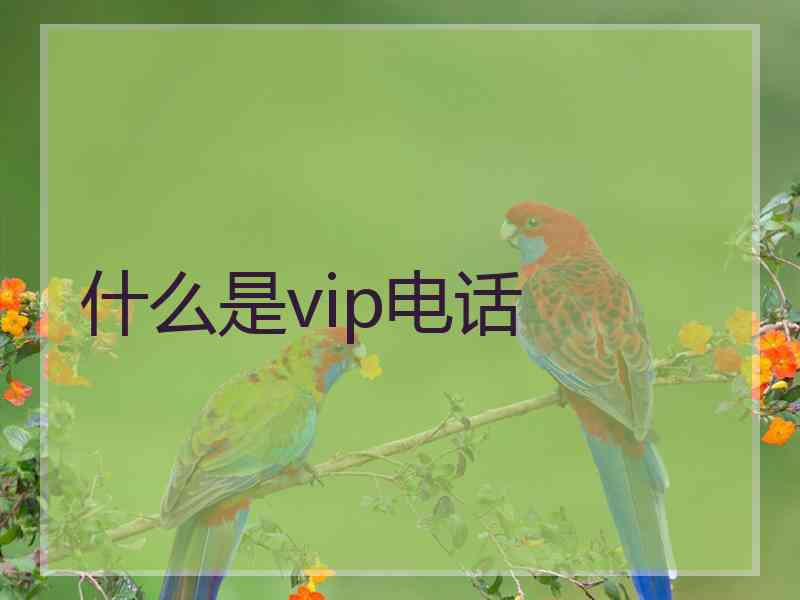 什么是vip电话