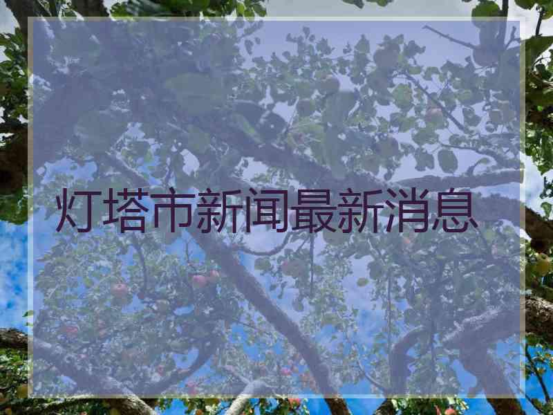 灯塔市新闻最新消息