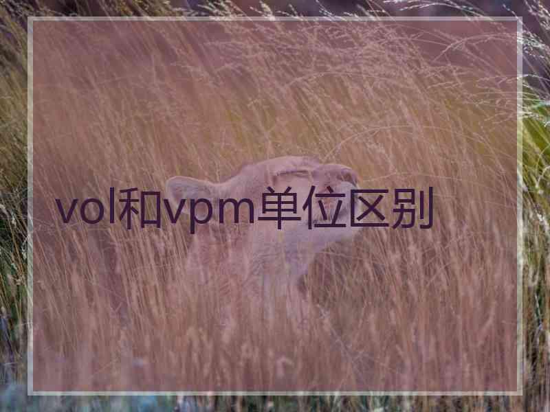vol和vpm单位区别