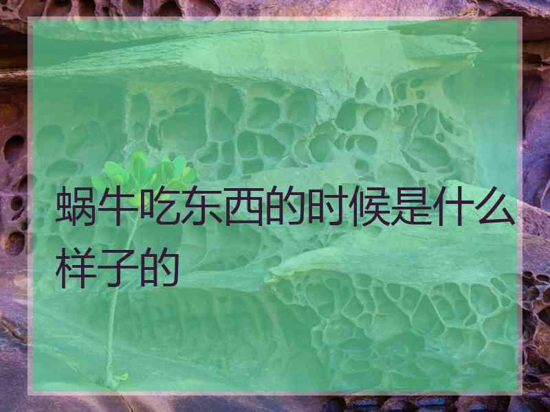 蜗牛吃东西的时候是什么样子的