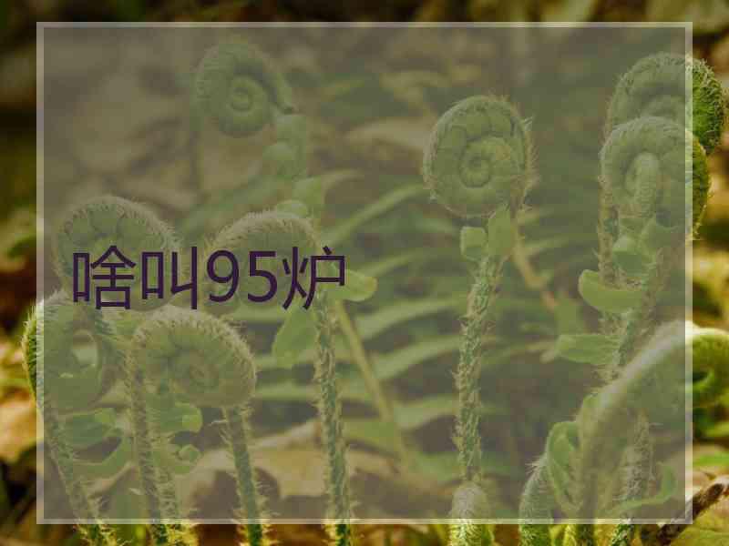 啥叫95炉