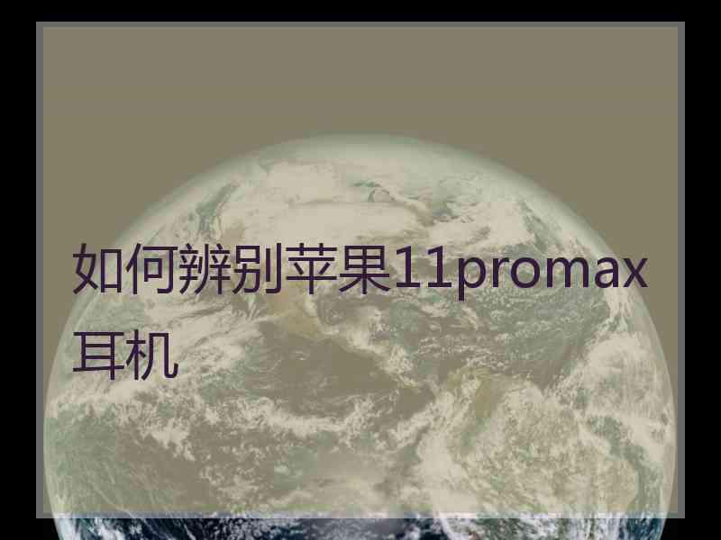 如何辨别苹果11promax耳机
