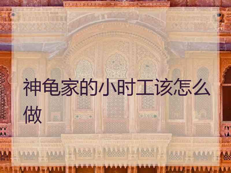 神龟家的小时工该怎么做