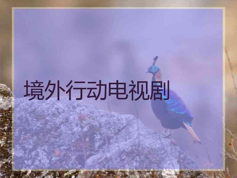 境外行动电视剧