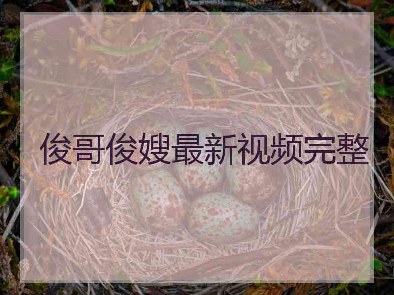 俊哥俊嫂最新视频完整