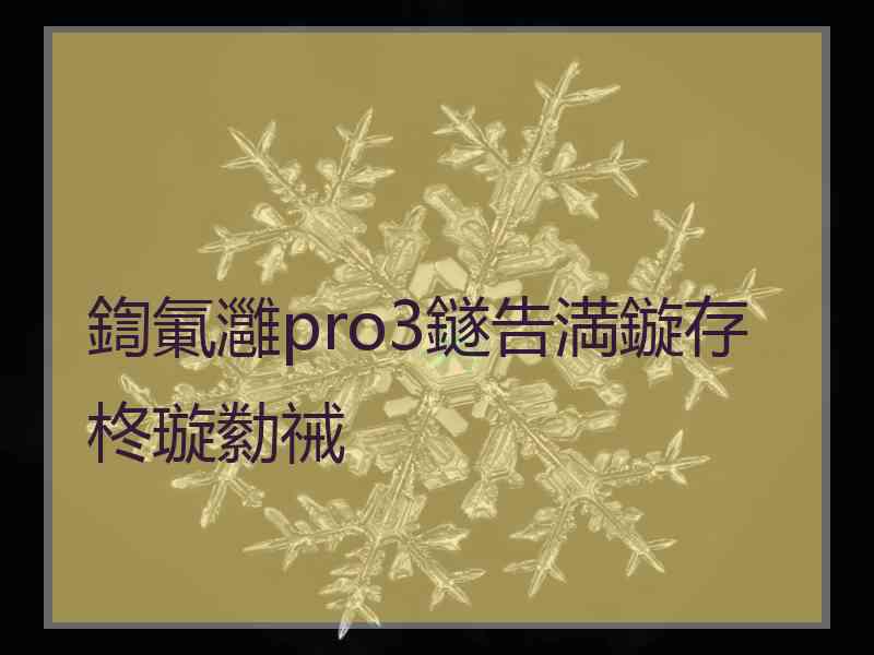 鍧氭灉pro3鐩告満鏇存柊璇勬祴