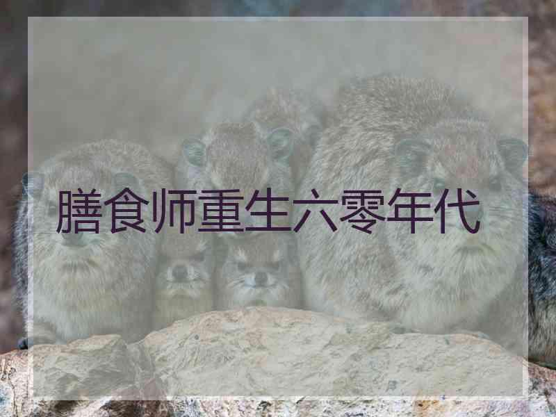 膳食师重生六零年代