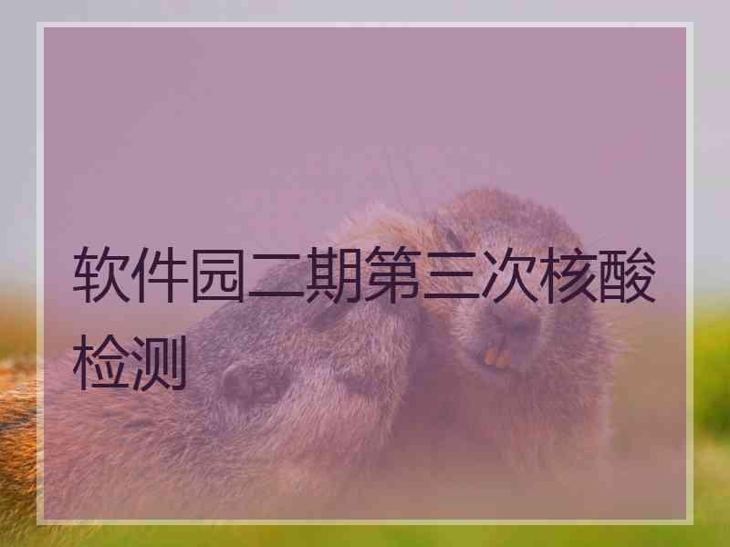 软件园二期第三次核酸检测