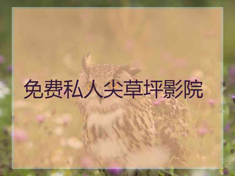 免费私人尖草坪影院