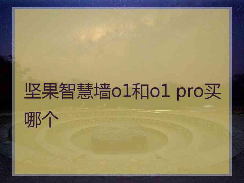 坚果智慧墙o1和o1 pro买哪个