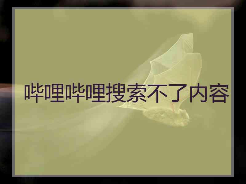 哔哩哔哩搜索不了内容