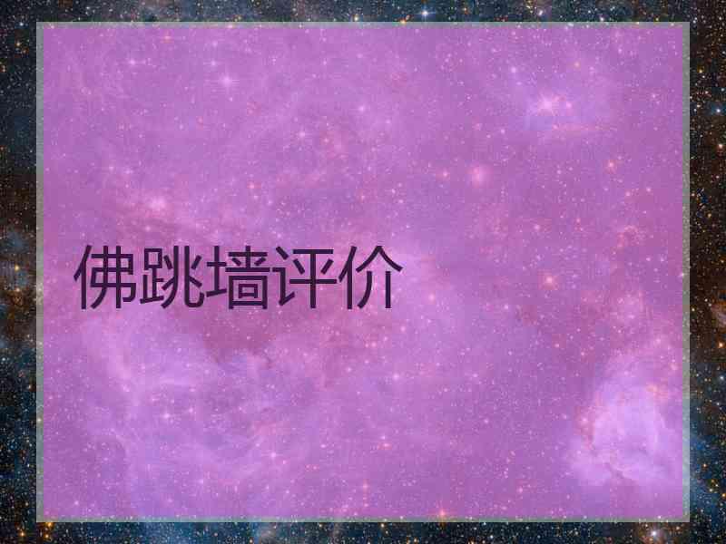 佛跳墙评价