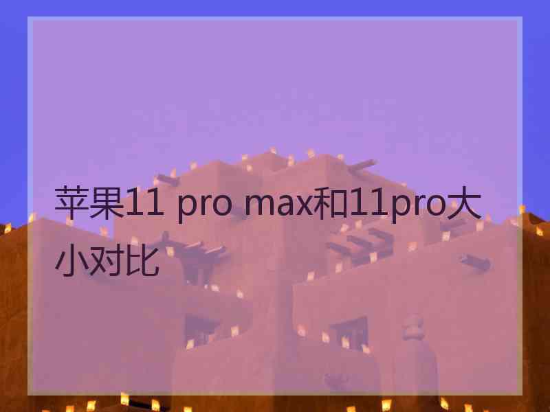 苹果11 pro max和11pro大小对比