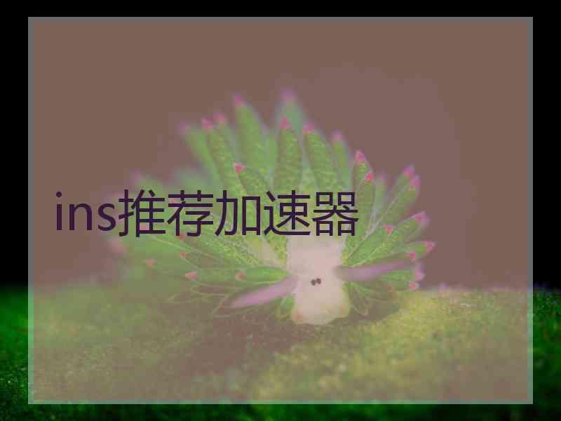 ins推荐加速器