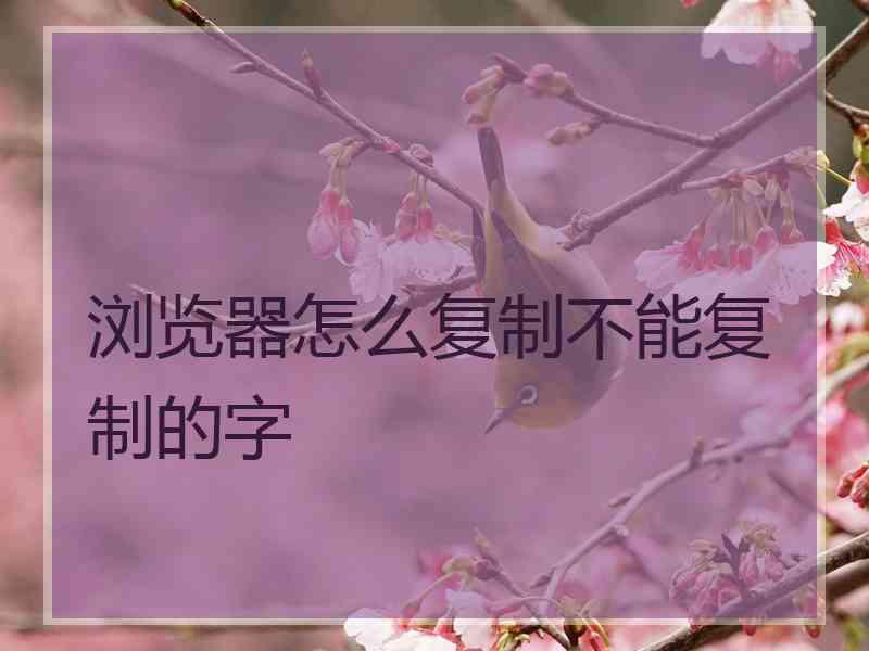 浏览器怎么复制不能复制的字
