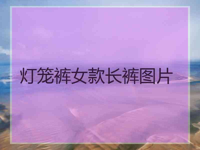 灯笼裤女款长裤图片