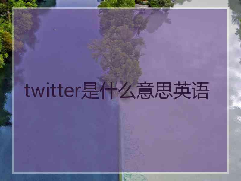twitter是什么意思英语