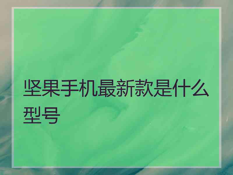 坚果手机最新款是什么型号