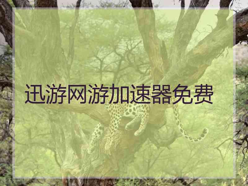 迅游网游加速器免费