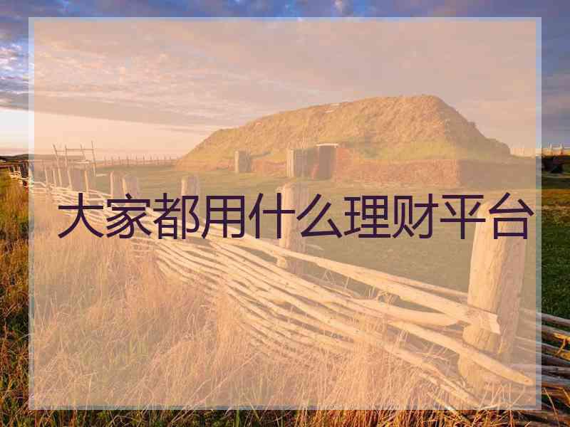 大家都用什么理财平台