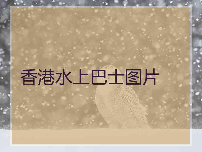香港水上巴士图片