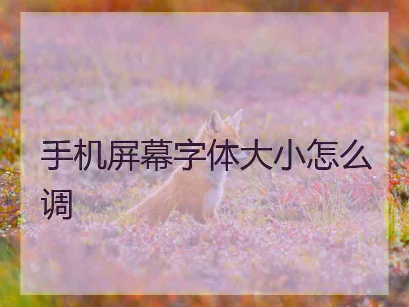 手机屏幕字体大小怎么调