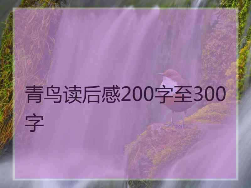 青鸟读后感200字至300字