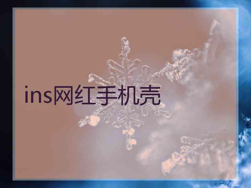 ins网红手机壳