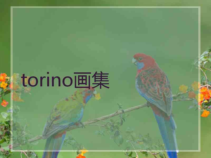 torino画集