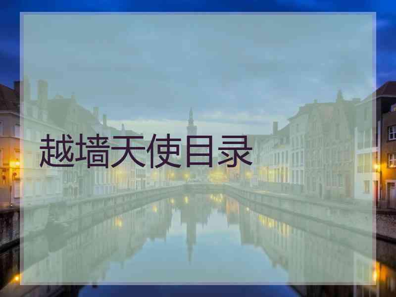 越墙天使目录