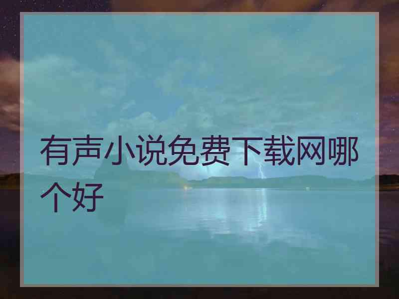 有声小说免费下载网哪个好