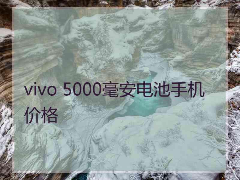 vivo 5000毫安电池手机价格