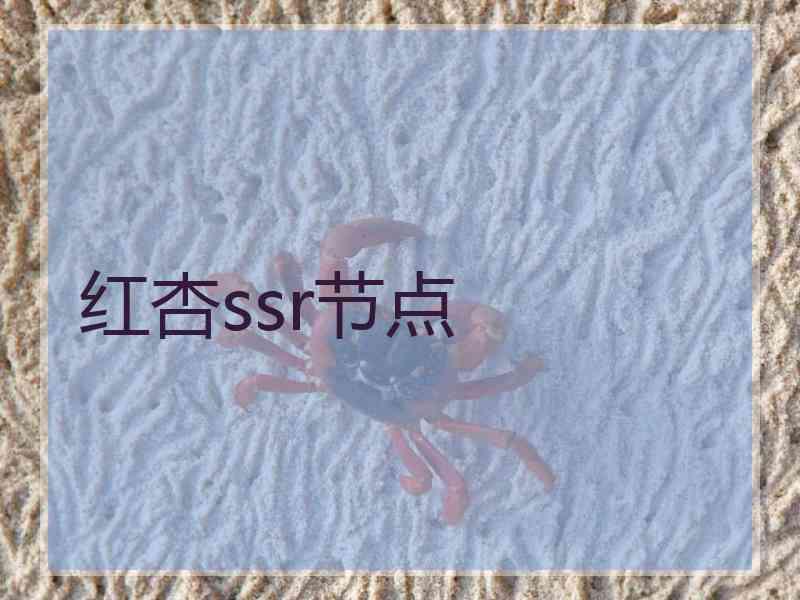 红杏ssr节点