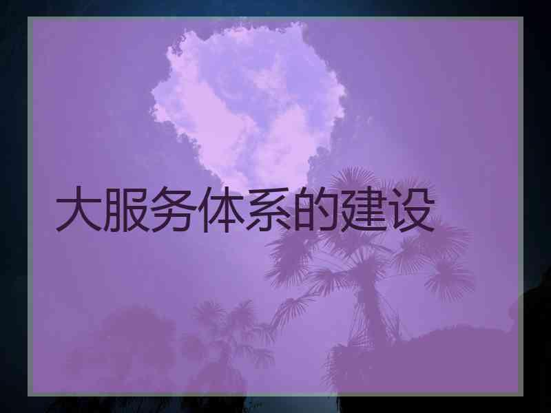 大服务体系的建设
