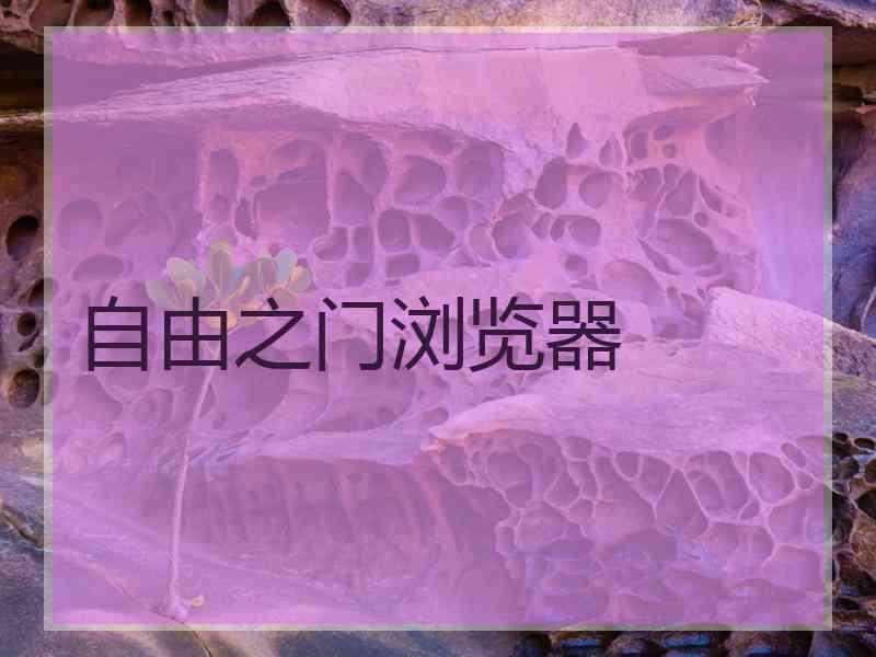 自由之门浏览器