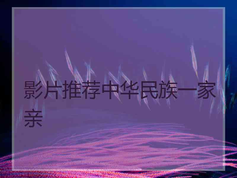 影片推荐中华民族一家亲