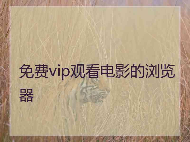 免费vip观看电影的浏览器