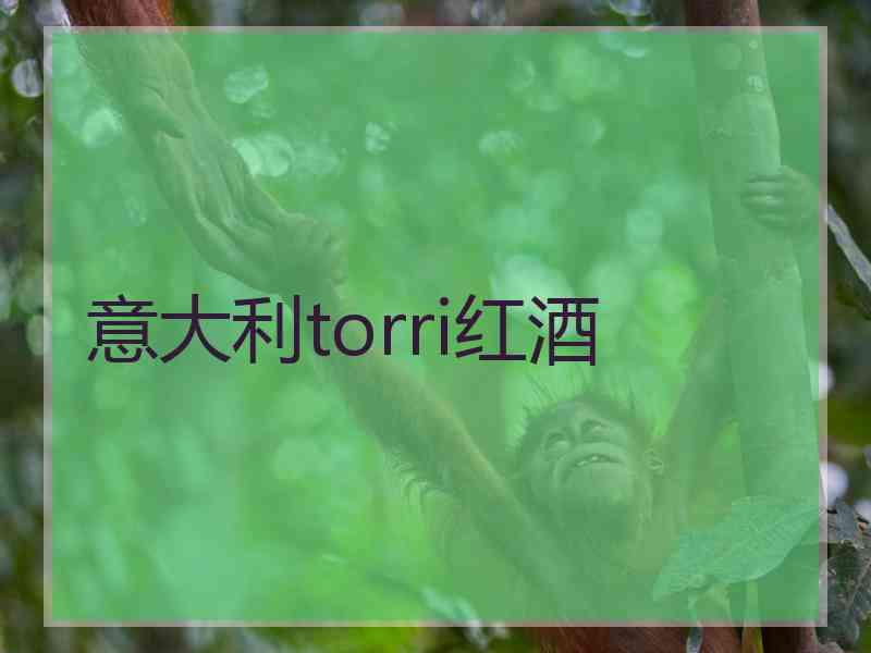 意大利torri红酒