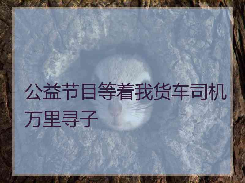 公益节目等着我货车司机万里寻子