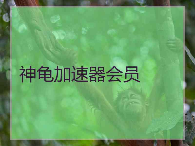 神龟加速器会员